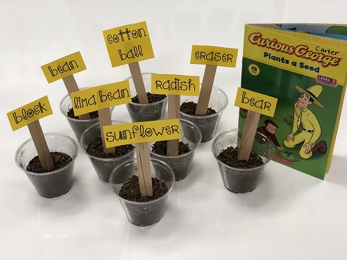 Activities And Resources To Teach About Seeds And Plants | Scholastic